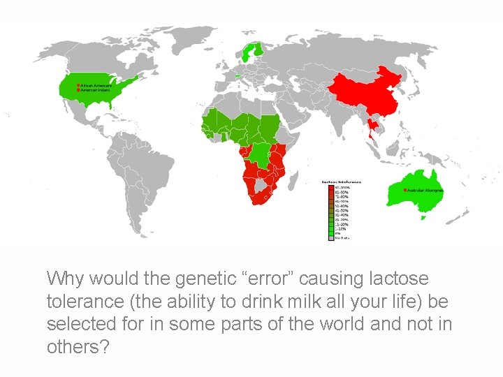 Why would the genetic “error” causing lactose tolerance (the ability to drink milk all Why would the genetic “error” causing lactose tolerance (the ability to drink milk all