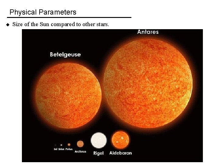 Physical Parameters u Size of the Sun compared to other stars. 