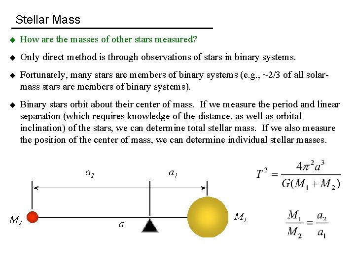 Stellar Mass u How are the masses of other stars measured? u Only direct