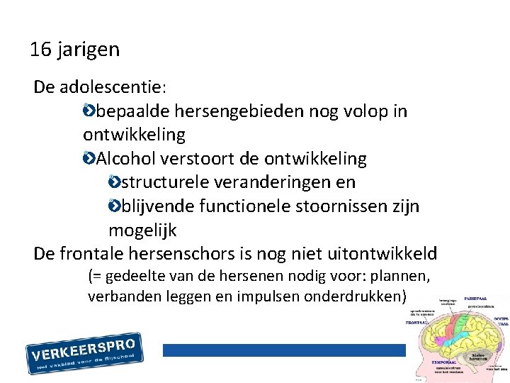 16 jarigen De adolescentie: bepaalde hersengebieden nog volop in ontwikkeling Alcohol verstoort de ontwikkeling