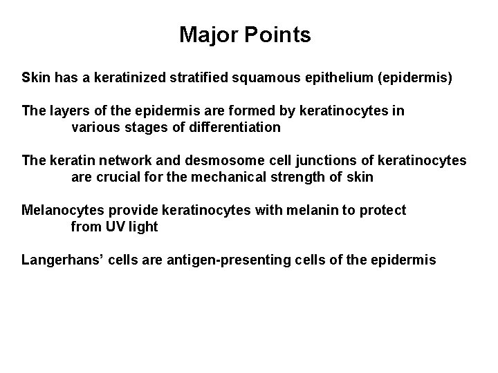 Major Points Skin has a keratinized stratified squamous epithelium (epidermis) The layers of the