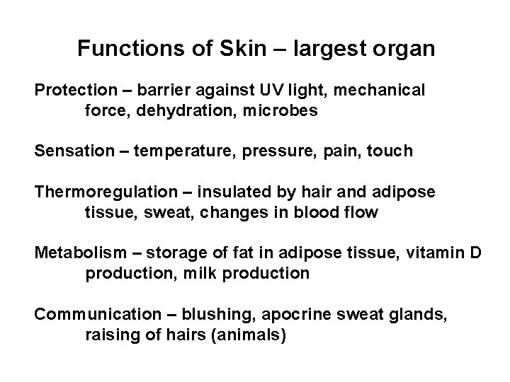 Functions of Skin – largest organ Protection – barrier against UV light, mechanical force,