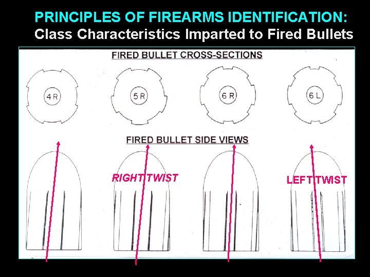 PRINCIPLES OF FIREARMS IDENTIFICATION: Class Characteristics Imparted to Fired Bullets RIGHT TWIST LEFT TWIST