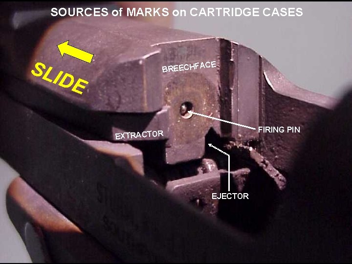 SOURCES of MARKS on CARTRIDGE CASES SLI DE CE BREECHFA FIRING PIN EXTRACTOR EJECTOR