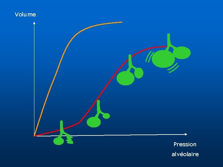 Volume Pression alvéolaire 