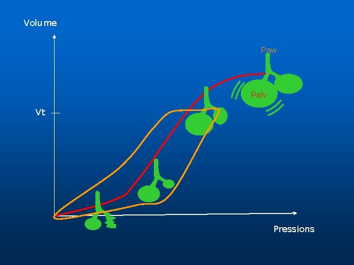 Volume Paw Palv Vt Pressions 