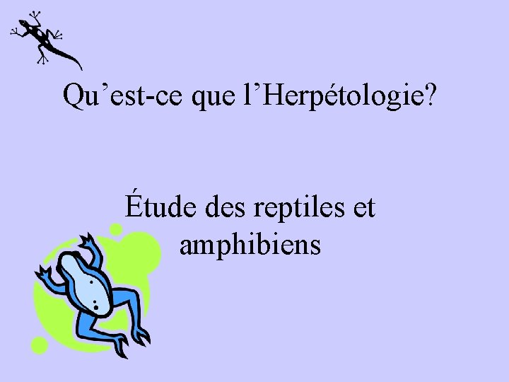 Qu’est-ce que l’Herpétologie? Étude des reptiles et amphibiens 