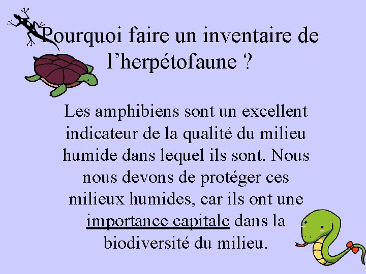 Pourquoi faire un inventaire de l’herpétofaune ? Les amphibiens sont un excellent indicateur de