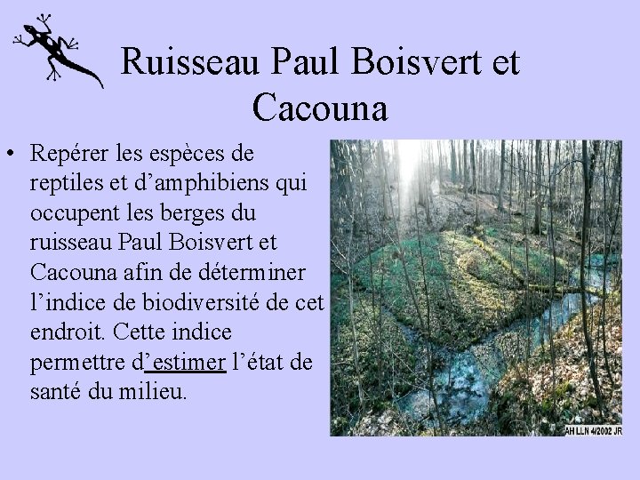 Ruisseau Paul Boisvert et Cacouna • Repérer les espèces de reptiles et d’amphibiens qui