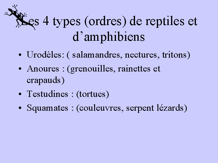 Les 4 types (ordres) de reptiles et d’amphibiens • Urodèles: ( salamandres, nectures, tritons)