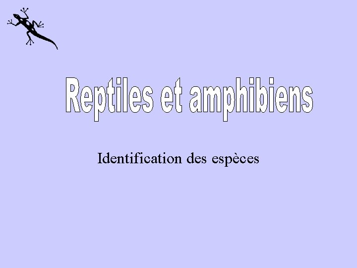 Identification des espèces 