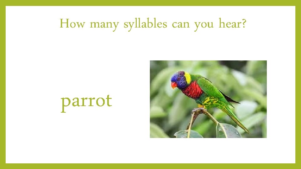 How many syllables can you hear? parrot 