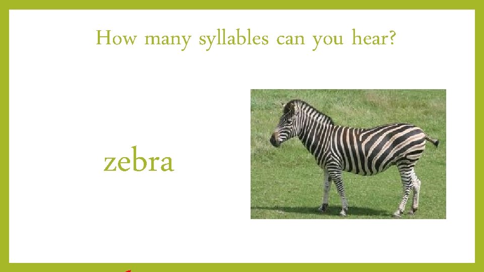 How many syllables can you hear? zebra 