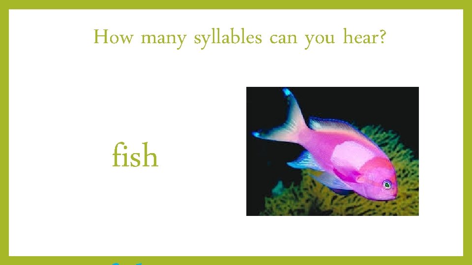 How many syllables can you hear? fish 