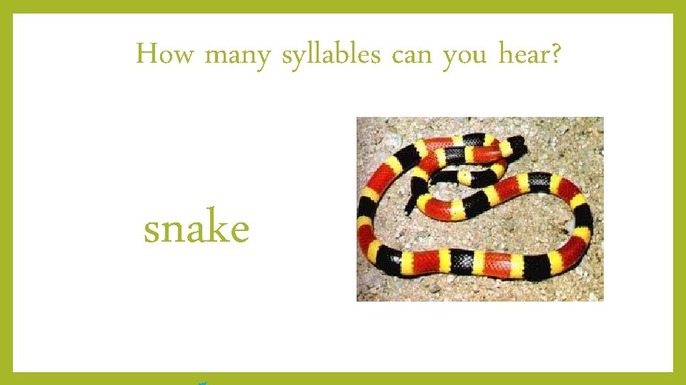How many syllables can you hear? snake 