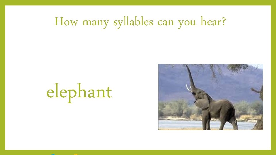 How many syllables can you hear? elephant 