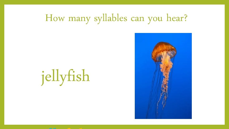 How many syllables can you hear? jellyfish 