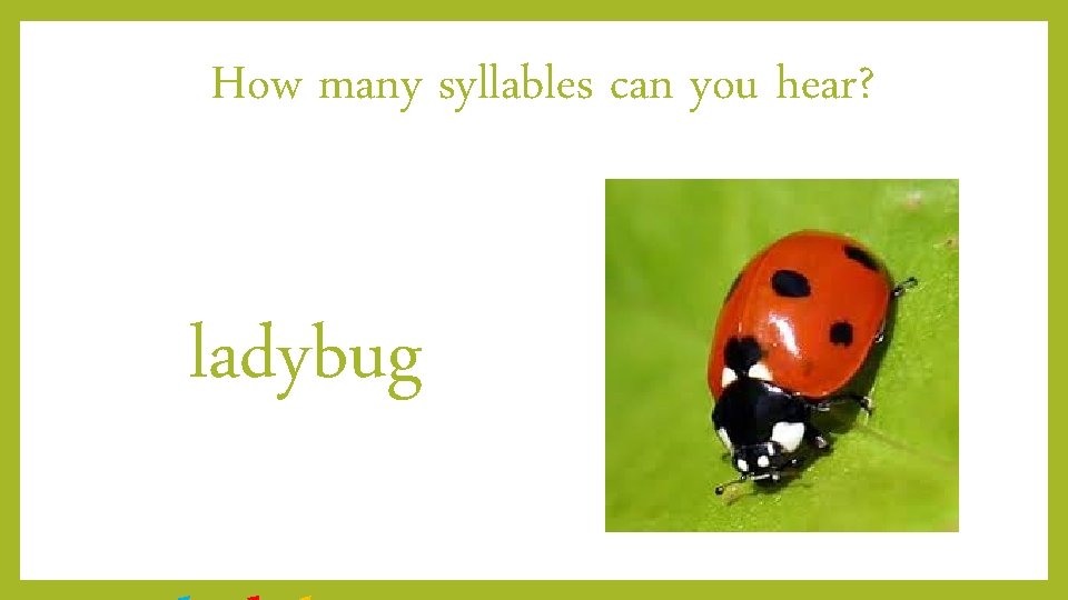 How many syllables can you hear? ladybug 