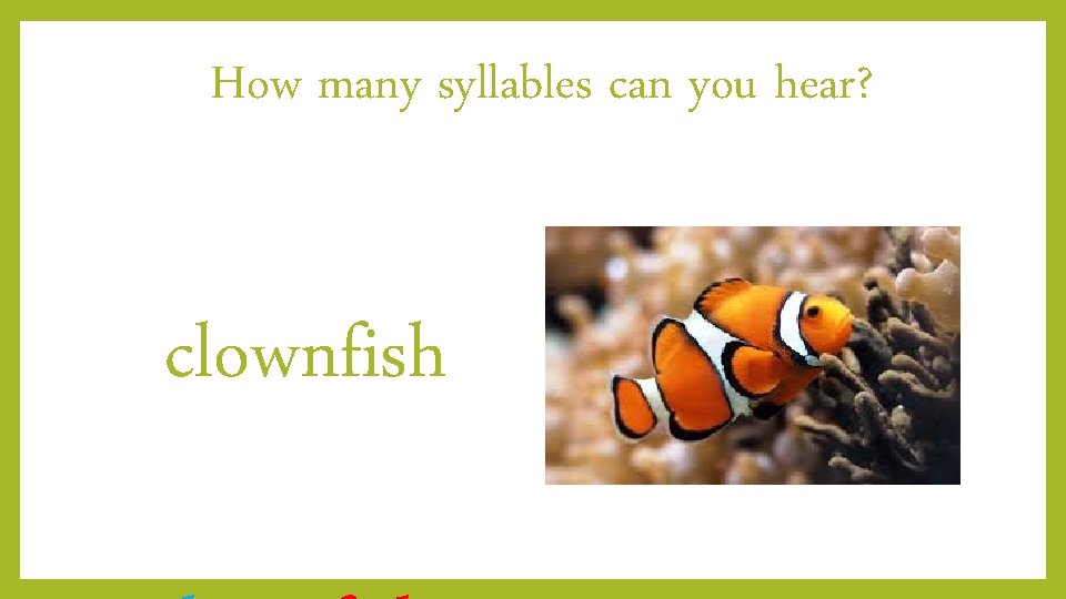 How many syllables can you hear? clownfish 