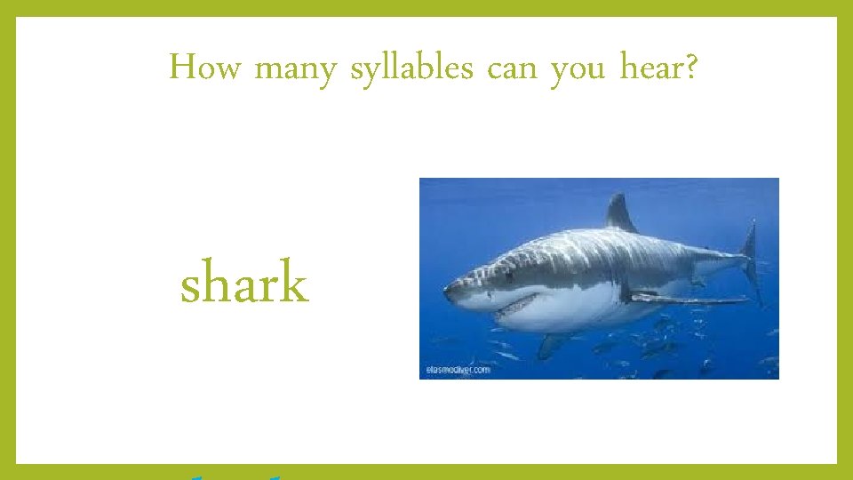 How many syllables can you hear? shark 