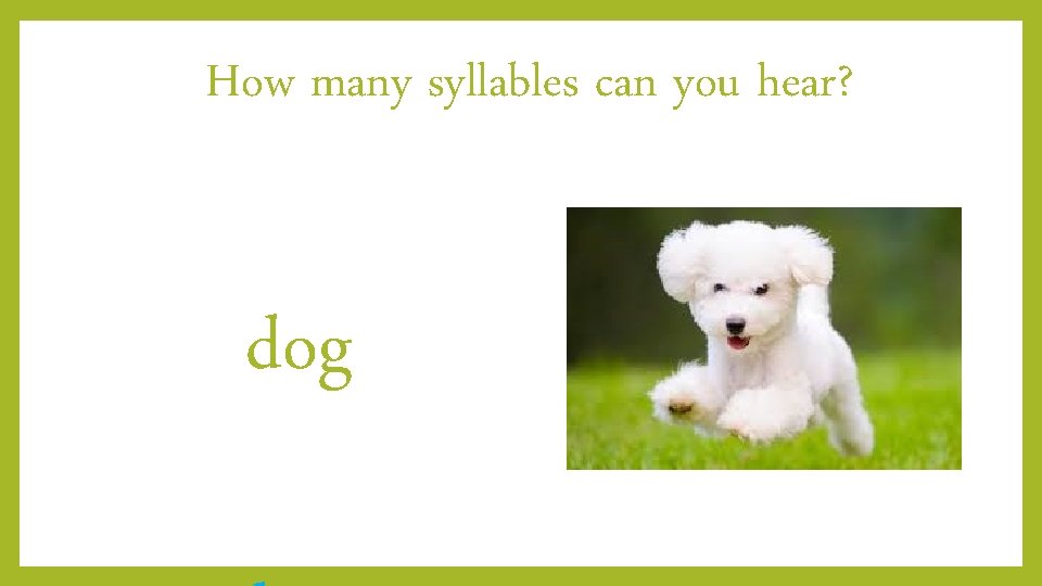 How many syllables can you hear? dog 