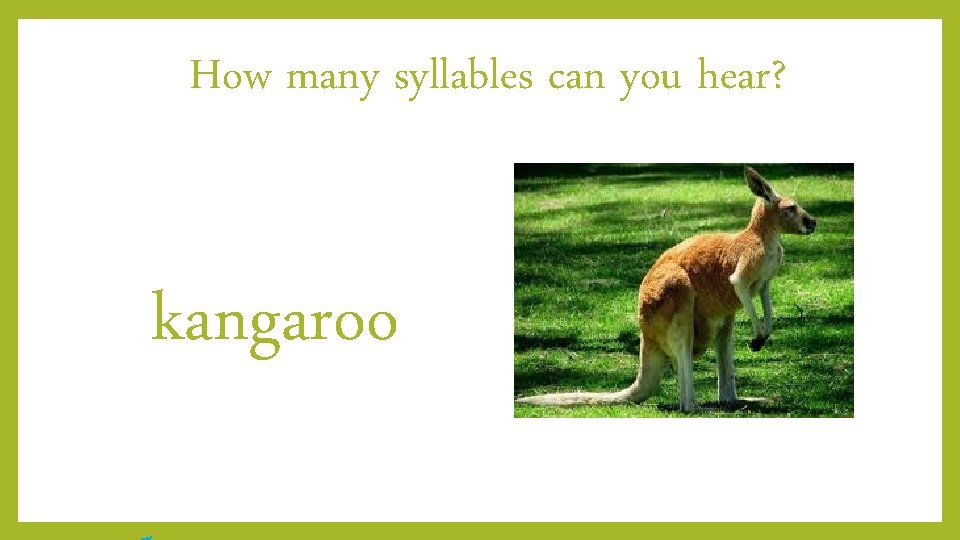 How many syllables can you hear? kangaroo 