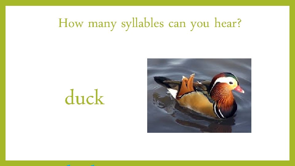 How many syllables can you hear? duck 