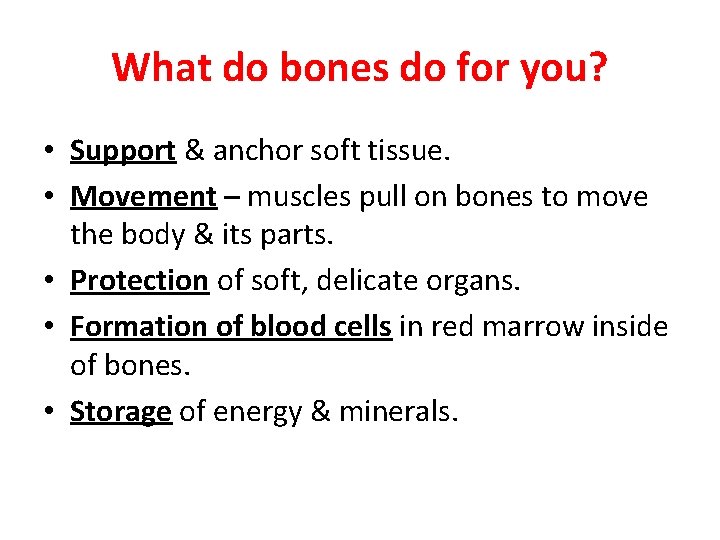 What do bones do for you? • Support & anchor soft tissue. • Movement