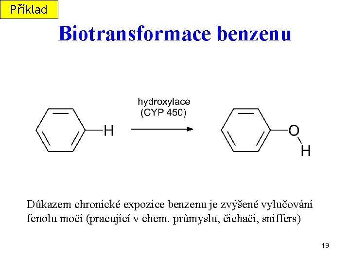 Příklad Biotransformace benzenu Důkazem chronické expozice benzenu je zvýšené vylučování fenolu močí (pracující v