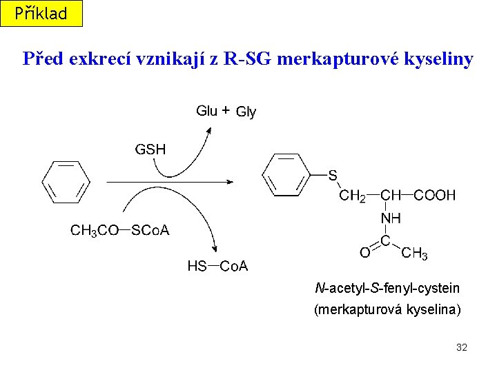 Příklad Před exkrecí vznikají z R-SG merkapturové kyseliny N-acetyl-S-fenyl-cystein (merkapturová kyselina) 32 