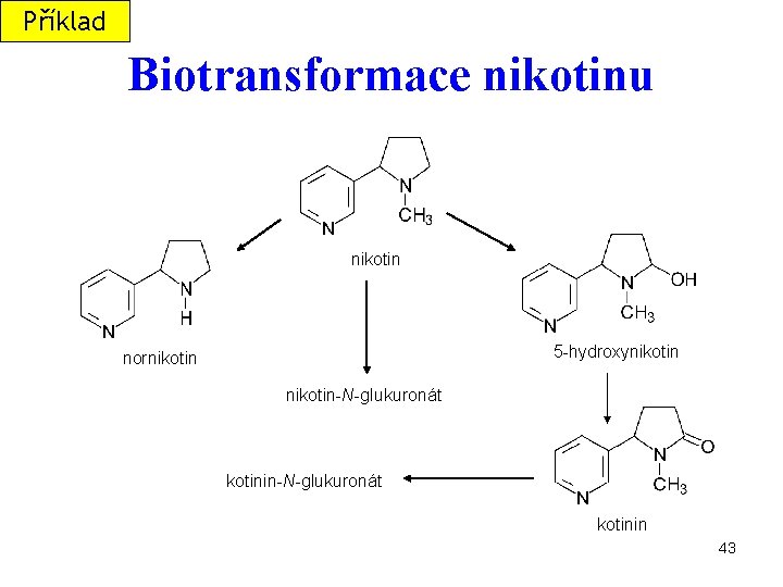 Příklad Biotransformace nikotinu nikotin 5 -hydroxynikotin nornikotin-N-glukuronát kotinin 43 