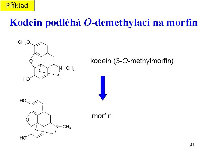 Příklad Kodein podléhá O-demethylaci na morfin kodein (3 -O-methylmorfin) morfin 47 