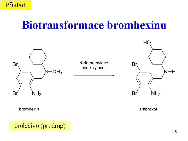 Příklad Biotransformace bromhexinu proléčivo (prodrug) 48 
