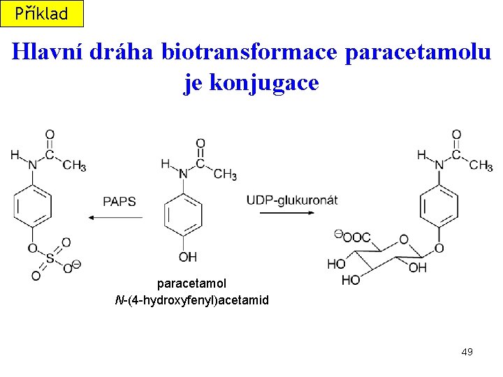 Příklad Hlavní dráha biotransformace paracetamolu je konjugace paracetamol N-(4 -hydroxyfenyl)acetamid 49 