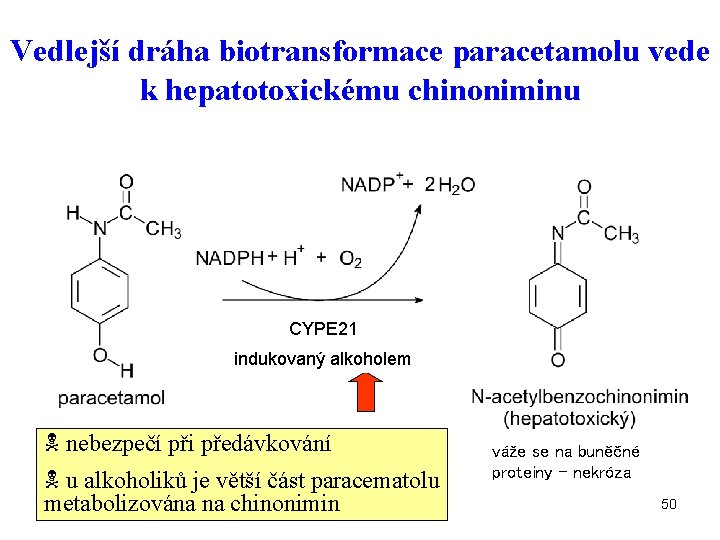 Vedlejší dráha biotransformace paracetamolu vede k hepatotoxickému chinoniminu CYPE 21 indukovaný alkoholem N nebezpečí