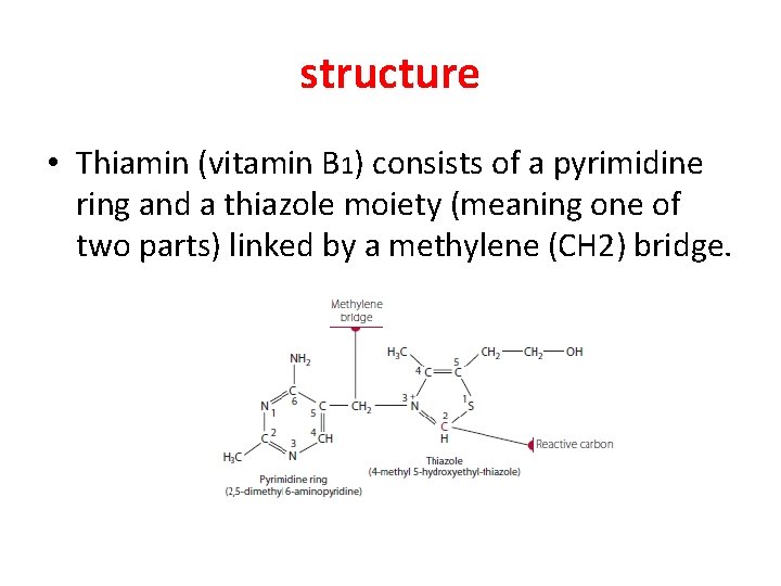 structure • Thiamin (vitamin B 1) consists of a pyrimidine ring and a thiazole