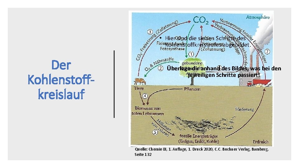  • Hier sind die sieben Schritte des Kohlenstoffkreislaufes abgebildet. Der Kohlenstoffkreislauf Überlege dir