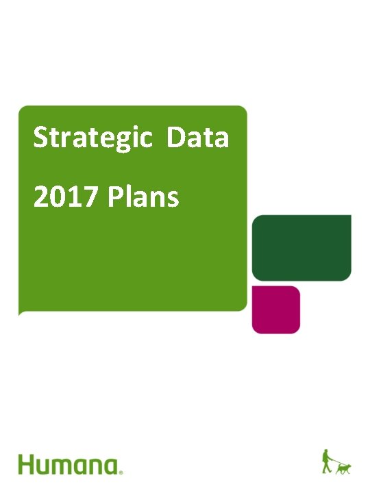 Strategic Data 2017 Plans 