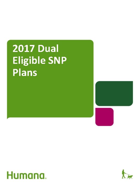 2017 Dual Eligible SNP Plans 