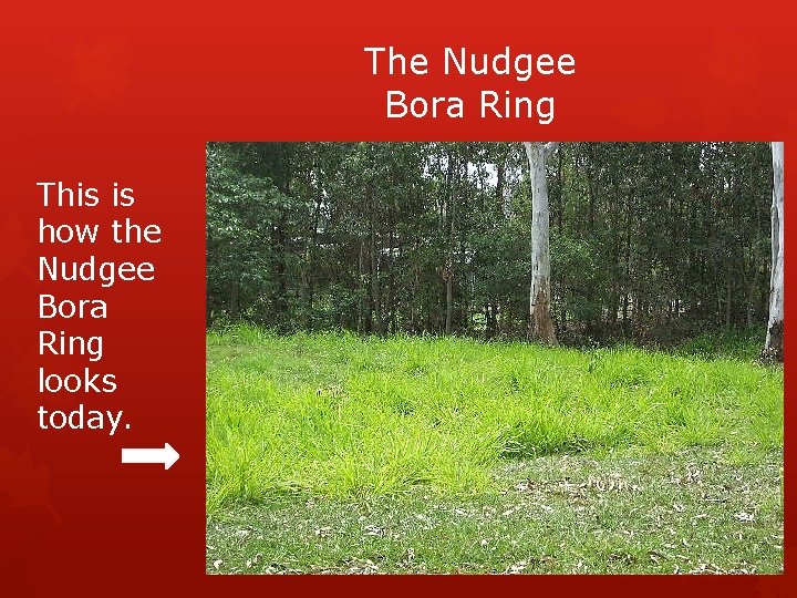 The Nudgee Bora Ring This is how the Nudgee Bora Ring looks today. 
