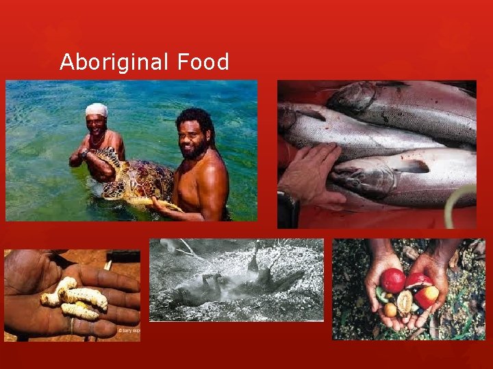Aboriginal Food 