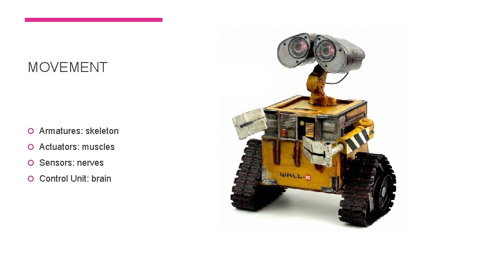 MOVEMENT Armatures: skeleton Actuators: muscles Sensors: nerves Control Unit: brain 