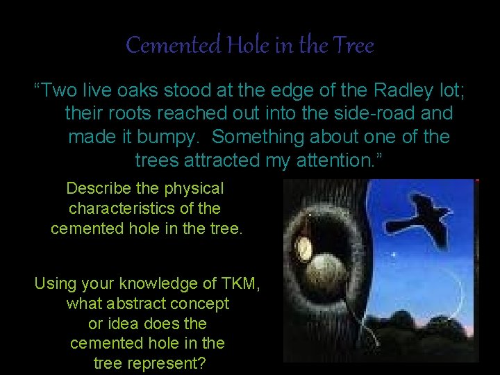 Cemented Hole in the Tree “Two live oaks stood at the edge of the