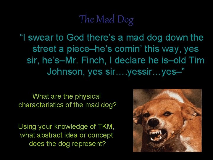 The Mad Dog “I swear to God there’s a mad dog down the street