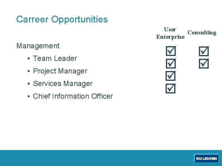 Carreer Opportunities User Consulting Enterprise Management • Team Leader • Project Manager • Services