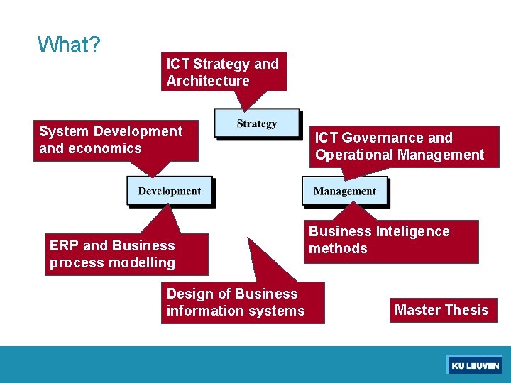 What? ICT Strategy and Architecture System Development and economics ERP and Business process modelling