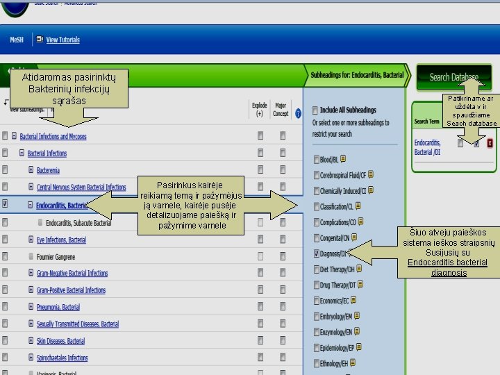 Atidaromas pasirinktų Bakterinių infekcijų sąrašas Patikriname ar uždėta v ir spaudžiame Seach database Pasirinkus