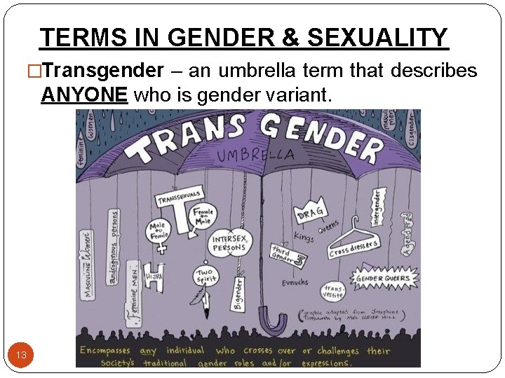 TERMS IN GENDER & SEXUALITY �Transgender – an umbrella term that describes ANYONE who