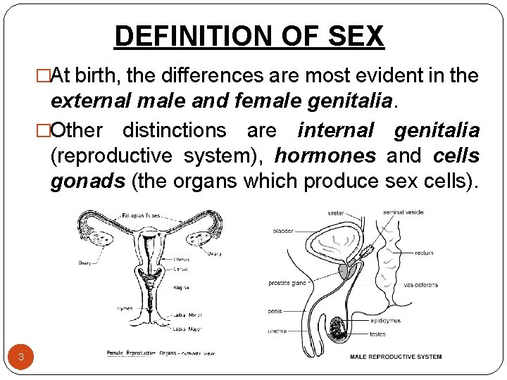 DEFINITION OF SEX �At birth, the differences are most evident in the external male