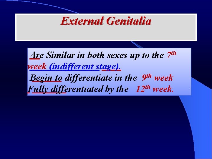 External Genitalia Are Similar in both sexes up to the 7 th week (indifferent